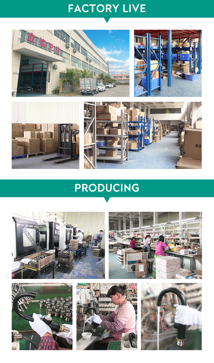 Cabezal de ducha ABS de 5 funciones