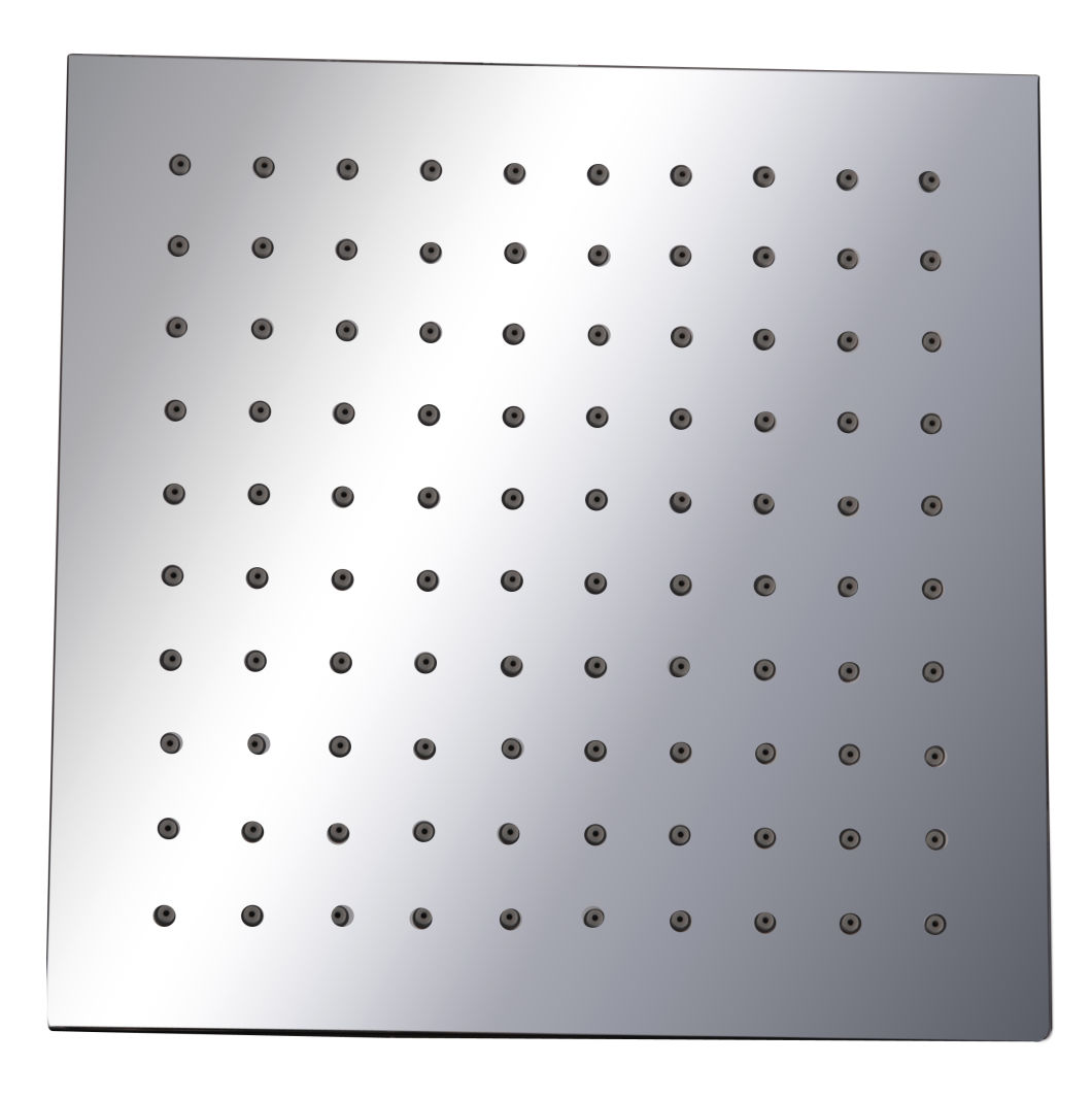 Cabezal de ducha de acero inoxidable 304 de 8 pulgadas