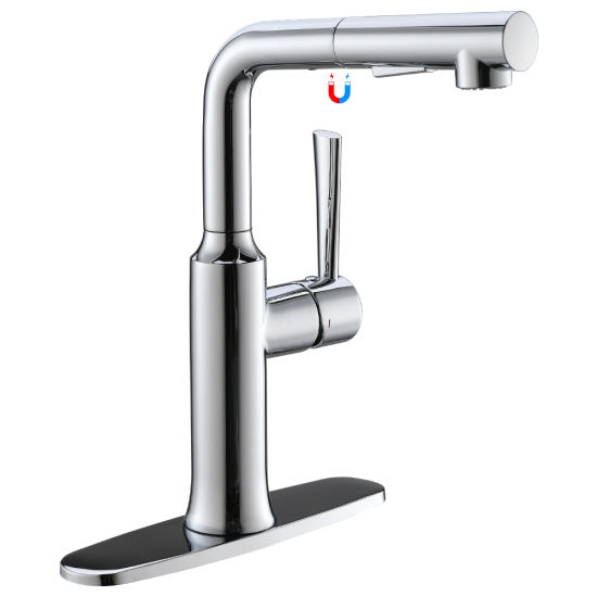 Single Hole Kitchen Sink Faucet with Pull out Sprayer